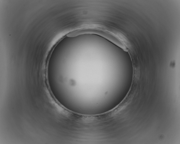X0000093121046200709261010