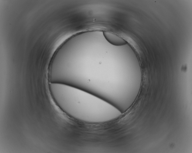 X0000093121047200709261010