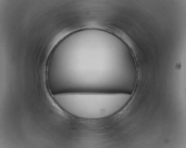 X0000093121048200709261010