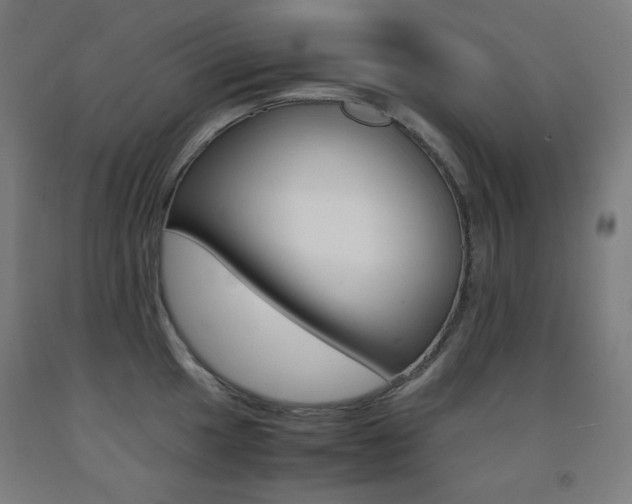 X0000093121049200709261010