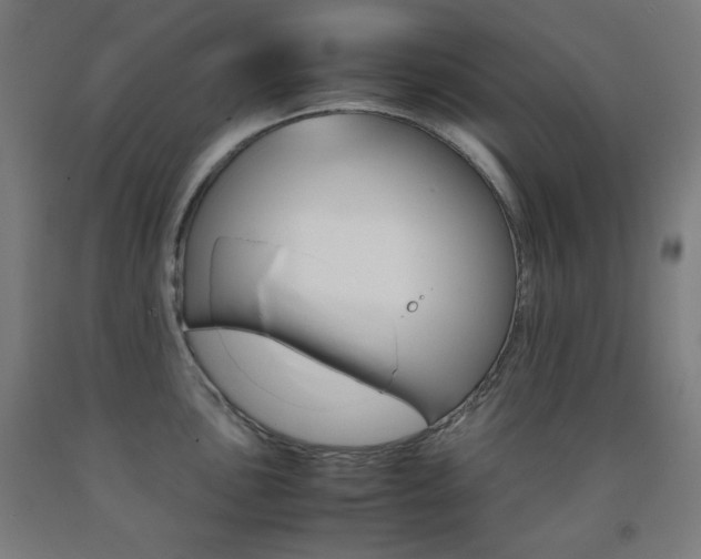 X0000093121051200709261010