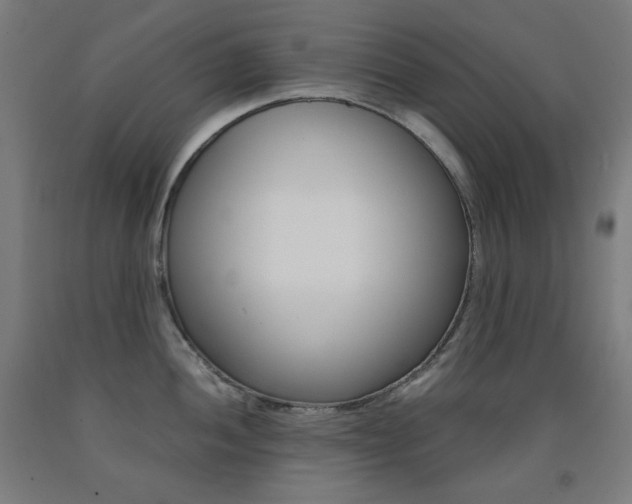 X0000093121052200709261010