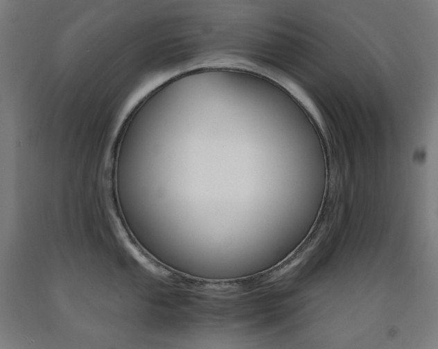 X0000093121053200709261010