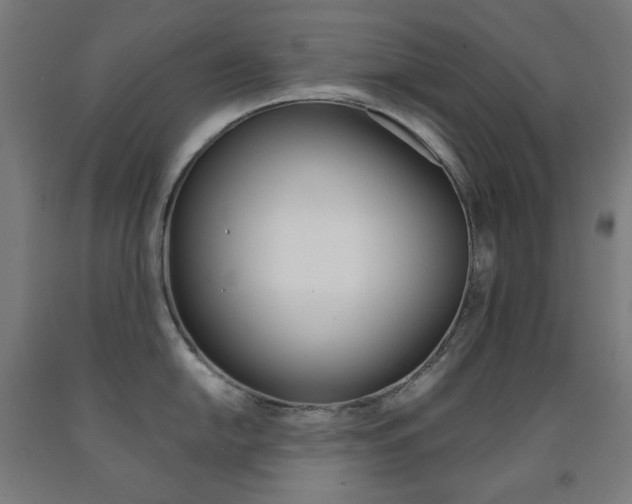 X0000093121054200709261010