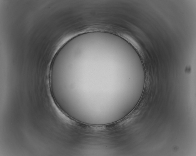 X0000093121055200709261010