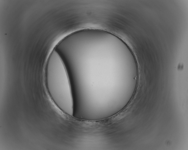 X0000093121056200709261010
