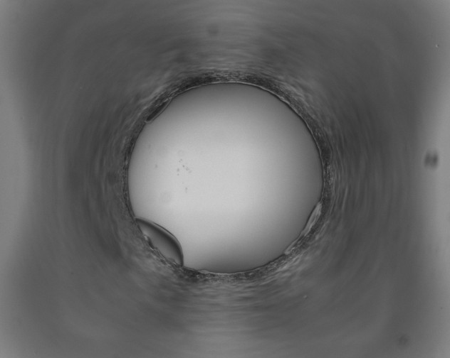 X0000093121057200709261009