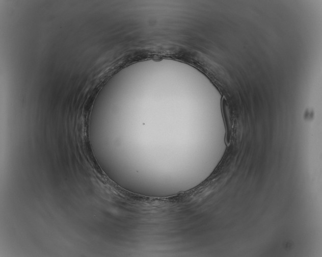 X0000093121058200709261009