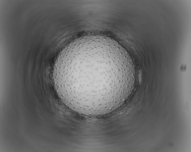 X0000093121059200709261009