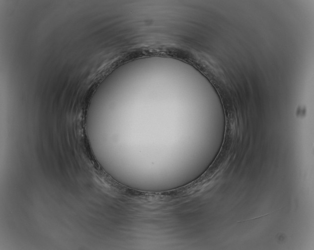 X0000093121060200709261009
