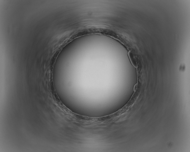 X0000093121061200709261009