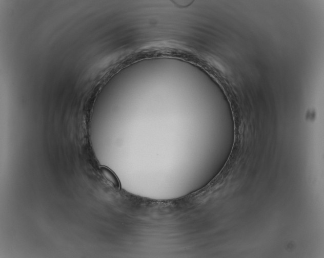X0000093121062200709261009