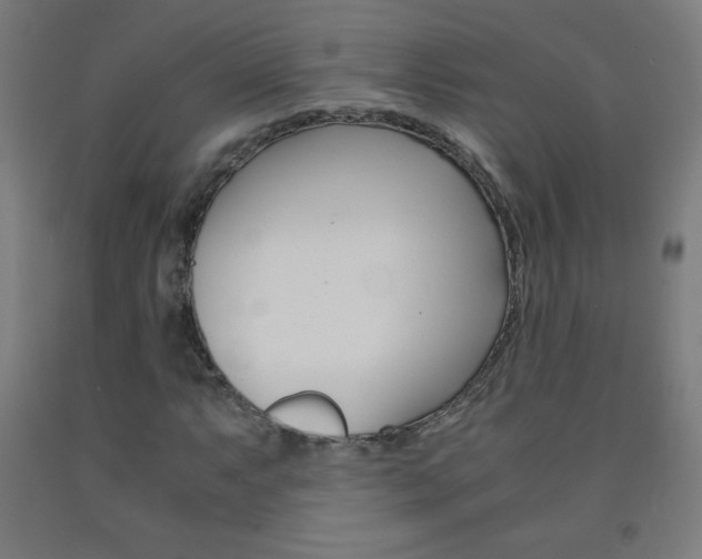 X0000093121063200709261009