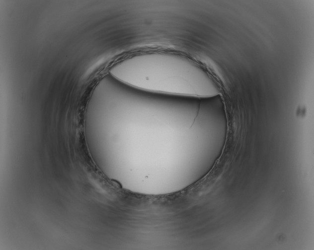 X0000093121064200709261009