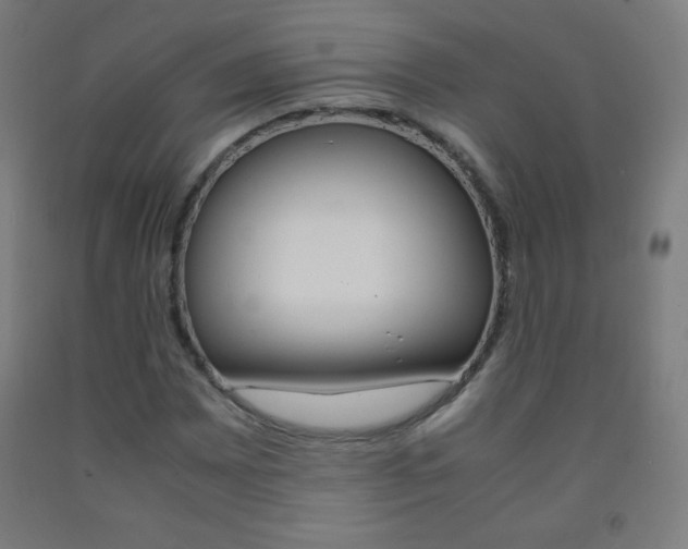 X0000093121065200709261009