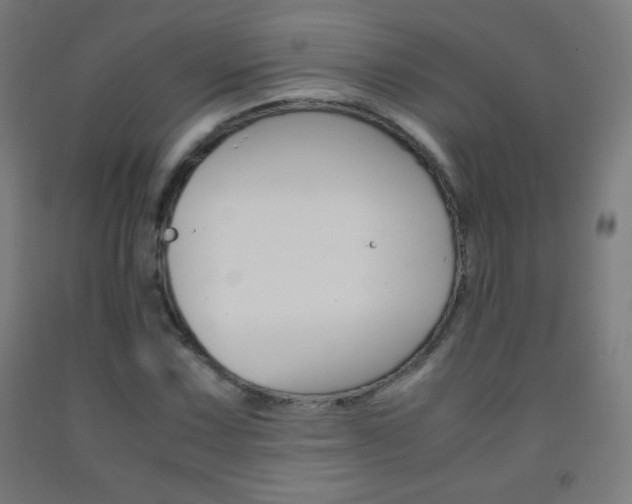 X0000093121067200709261009