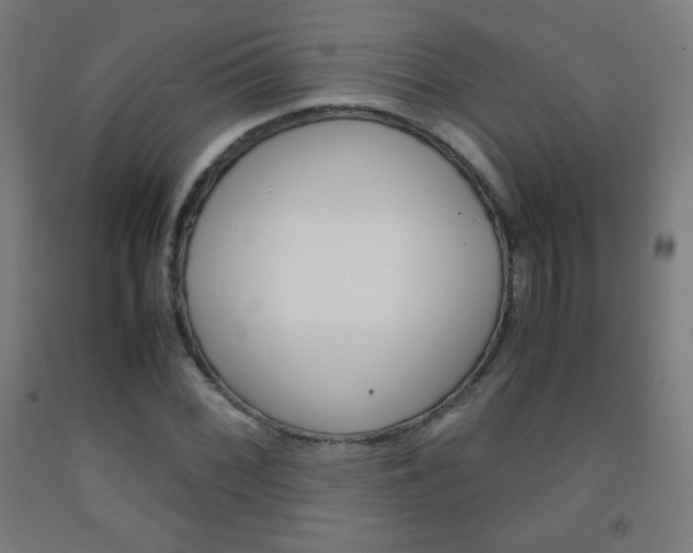 X0000093121068200709261009