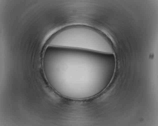 X0000093121069200709261009