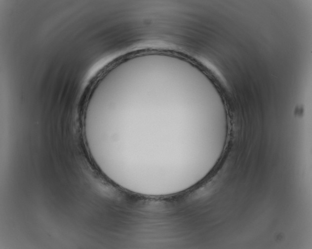 X0000093121070200709261009