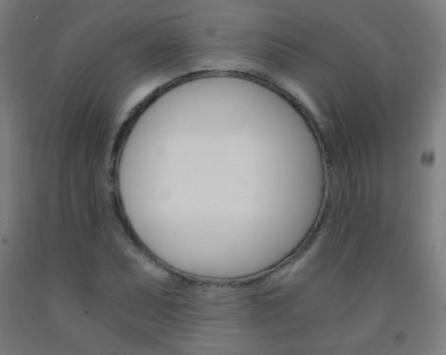 X0000093121071200709261009