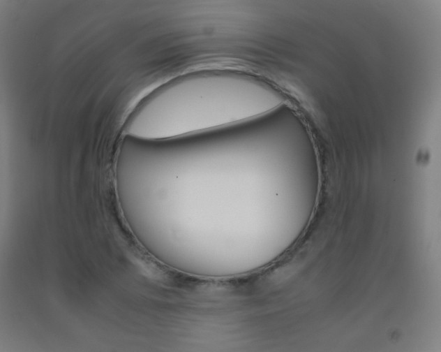 X0000093121073200709261009