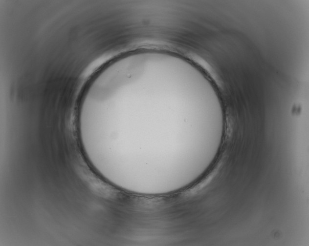 X0000093121074200709261009