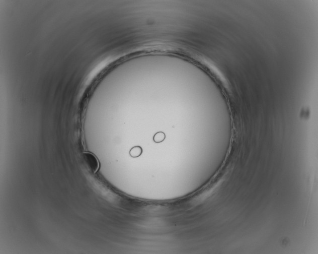 X0000093121075200709261009