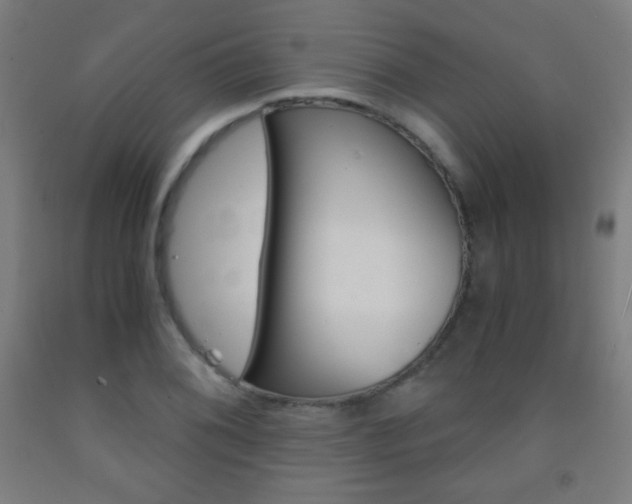 X0000093121076200709261009
