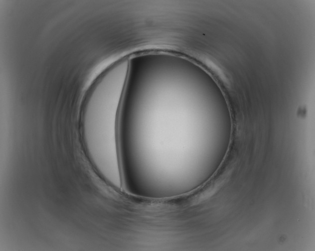X0000093121077200709261009