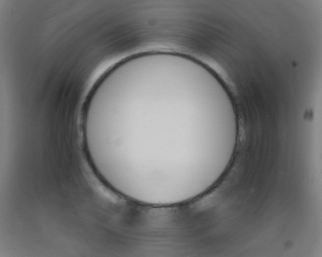 X0000093121078200709261009