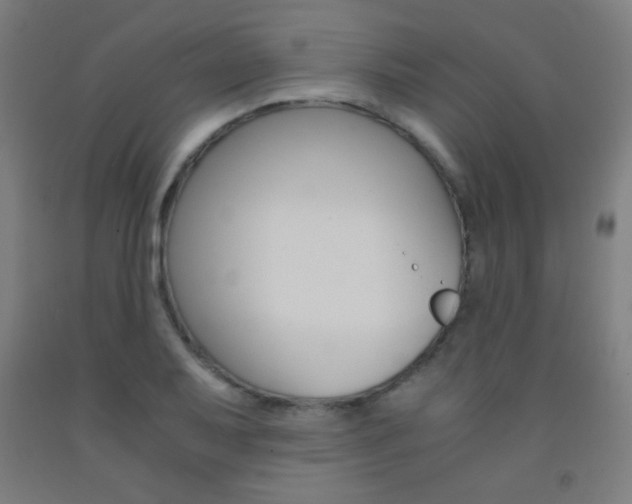 X0000093121079200709261009