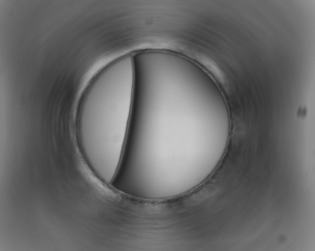 X0000093121080200709261009