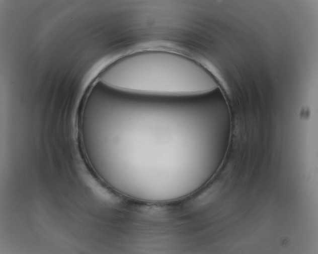 X0000093121082200709261009