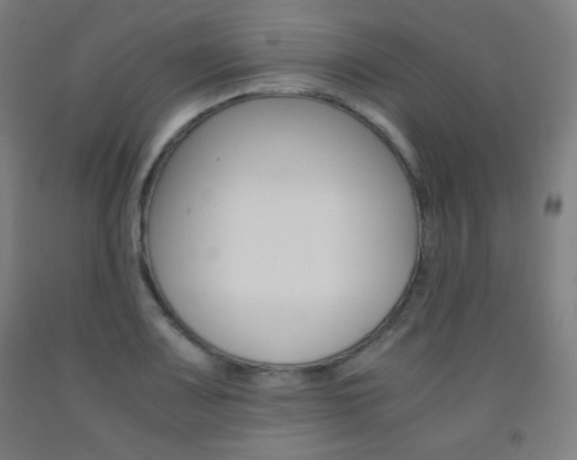X0000093121083200709261009