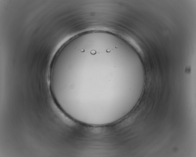 X0000093121084200709261009