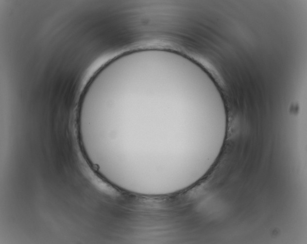X0000093121086200709261009
