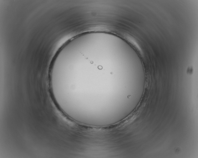 X0000093121087200709261009