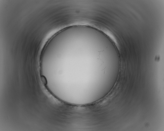 X0000093121088200709261009