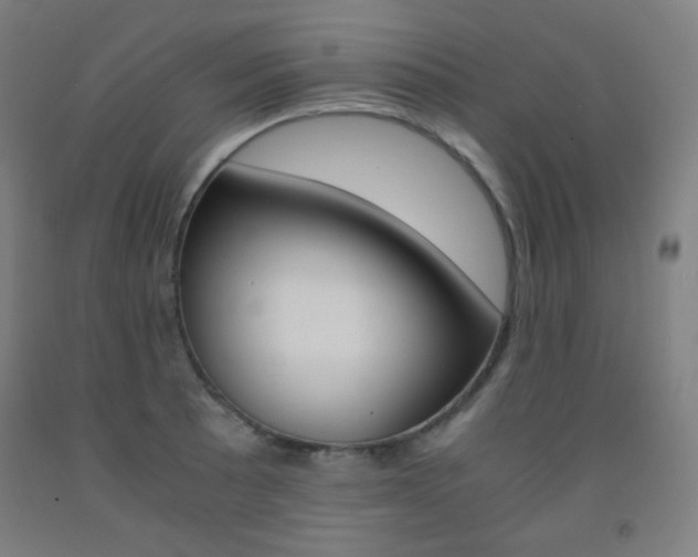 X0000093121089200709261009