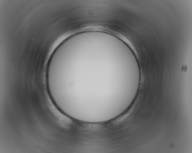 X0000093121090200709261009