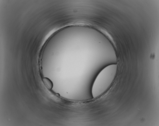X0000093121091200709261009