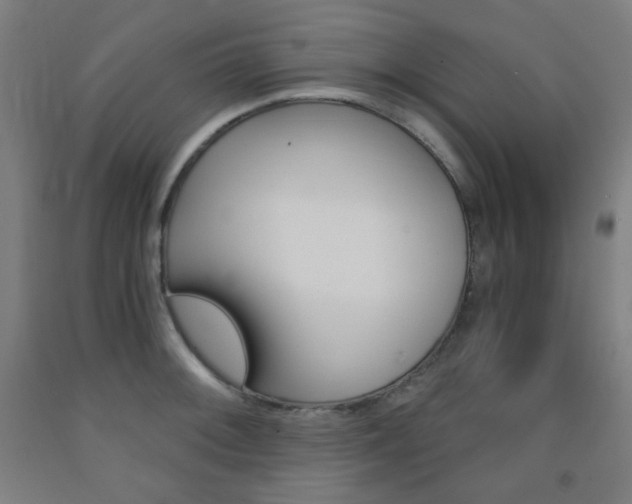 X0000093121092200709261009