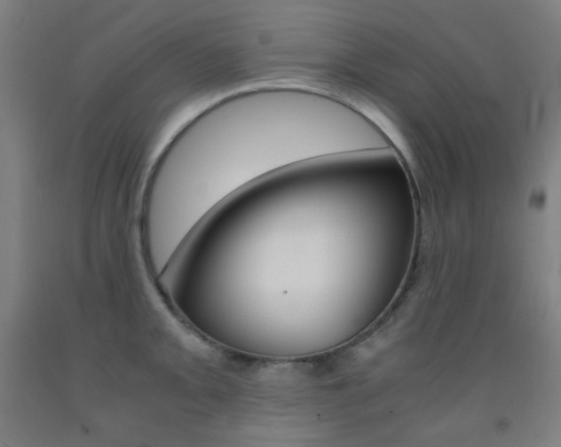 X0000093121093200709261009