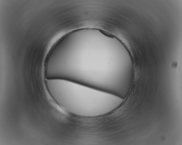 X0000093121096200709261009