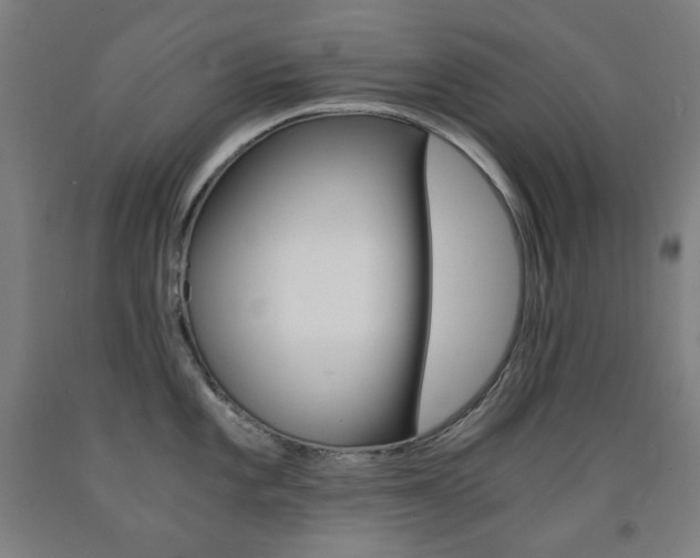 X0000093121101200709261009
