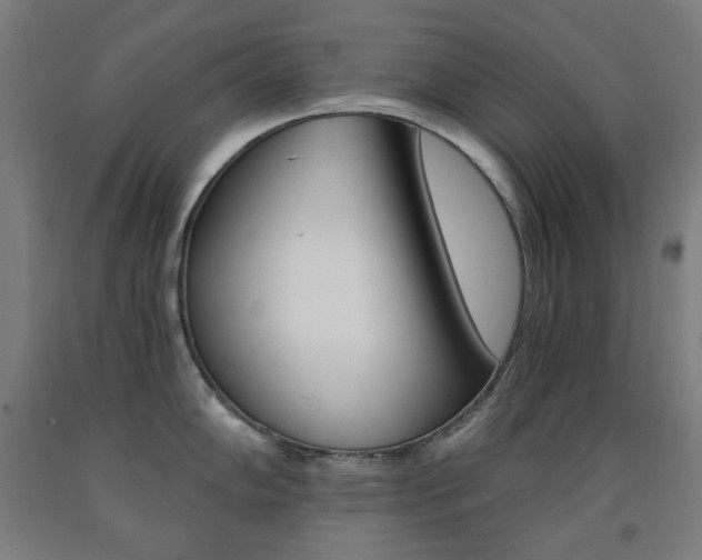 X0000093121102200709261008