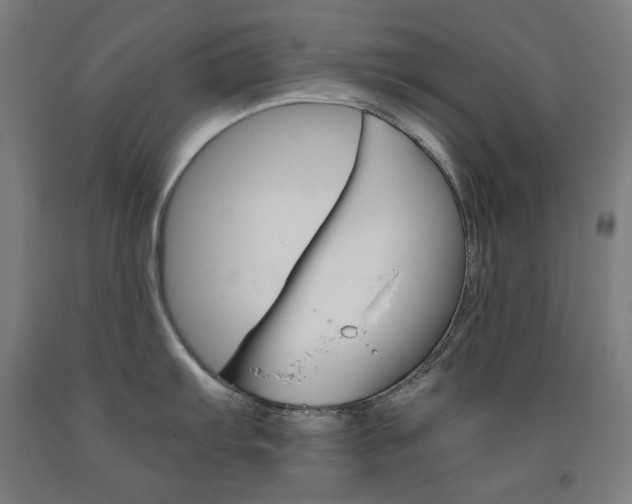 X0000093121103200709261008