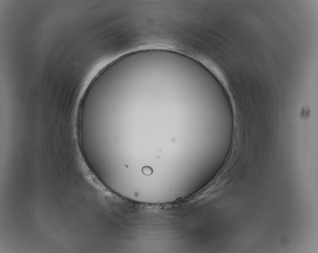 X0000093121104200709261008