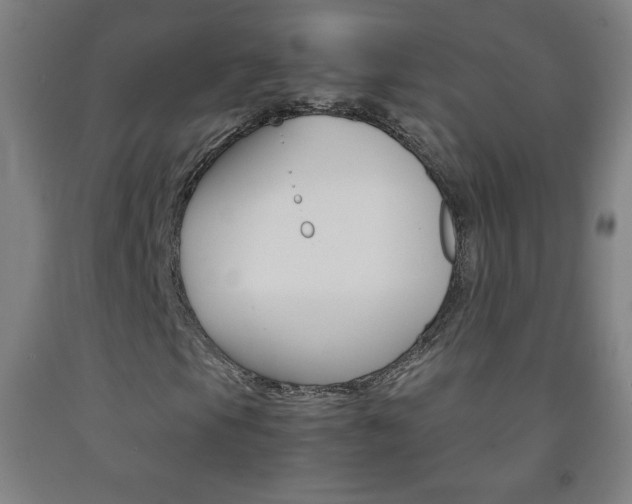 X0000093121105200709261008