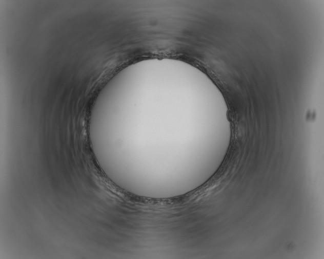 X0000093121106200709261008